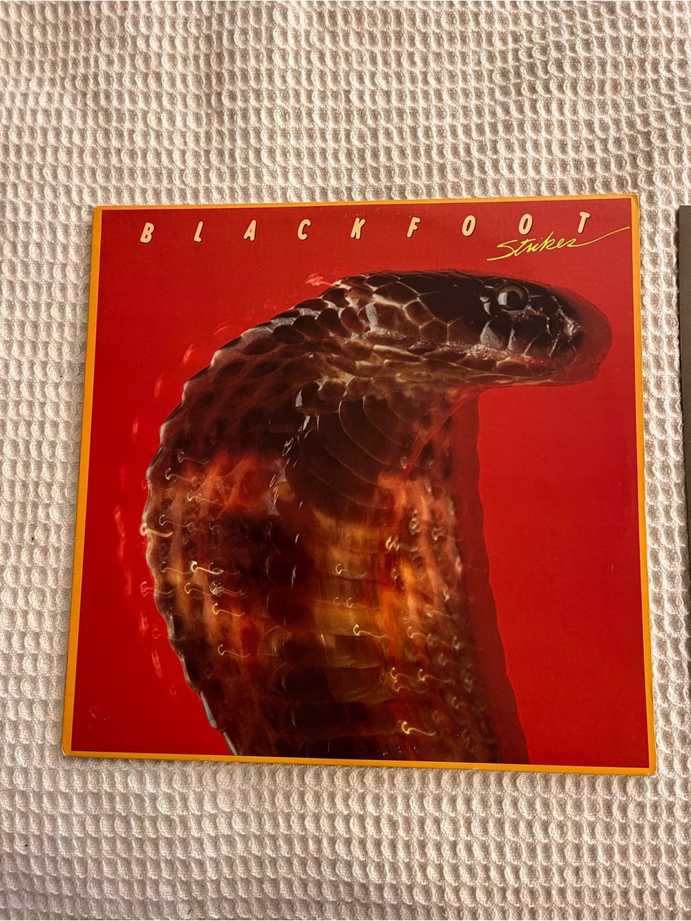Blackfoot Strikes Vinyl Album Lp 1979 Atlantic Very Good Plus Classic Rock Music